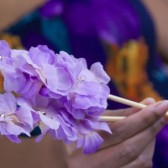 Vanilla Lavender Blossom Hair Sticks