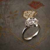 Blooming Rose Solitaire
