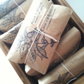 coffee plant favor