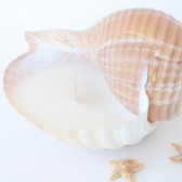 Beach Wedding Candle in Natural Seashell