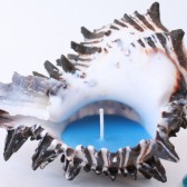 Ocean Blue Wedding Candle in Shell