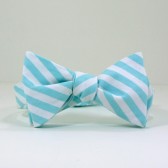 Aqua Stripe Bow Tie