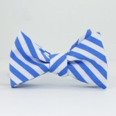 Blue and White Stripe Bow Tie