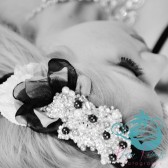 Hand-Beaded Bridal Bandeau Headband