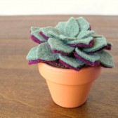 Faux Felt Succulent