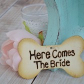 Here Comes the Bride Doggie Ring Bearer