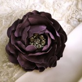 Brooch/hair clip