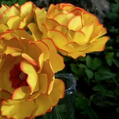 The Begonia Flower - paper flowers
