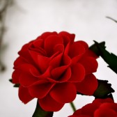 Paper Flower