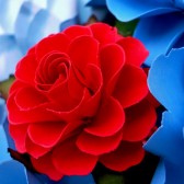Paper bouquet - Turquoise and Red