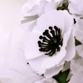 Anemone Paper Bouquet