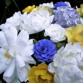 psper Bouquet - Spring is in the Air!