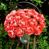 Coral Paper Flowers