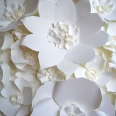 Paper Flower Backdrop