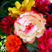 Paper Flower Bouquet
