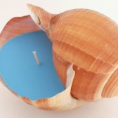 Ocean Blue Soy Seashell Candle
