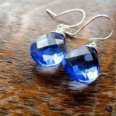 Royal Blue Silver Earrings