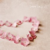 Love Is 8x8 photography print. Pink Heart