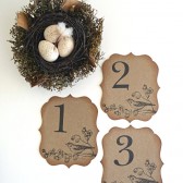 Bird Table Number Cards