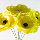 Anemone Paper Flowers