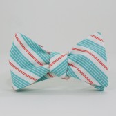 Aqua and Coral Stripe Bow Tie
