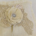 Burlap and lace ring pillow 
