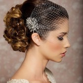Birdcage veil with rhinestone jeweled comb