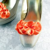 Orange Shoe Clips.