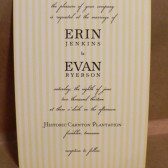 Wedding / Rehearsal Dinner / Party Invitation / Printed Stripes / Wedding Suite Custom by Darby Cards
