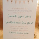 Simple / Fun / Wedding / Outdoor / Southern / Wedding / Banner / Homemde / Peach and Turquoise Invitation / Birthday / Rehearsal / Custom