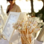 Shell Drink Stirrers