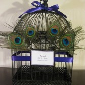 Black & Gold Birdcage With Peacock Feathers