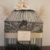 Retro Bird Cage Wedding Card Holder With Peacock Feathers & Orchids