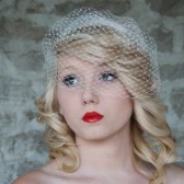 Birdcage Veil