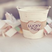 Lucky in Love Pail