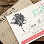 Love Tree Post Card
