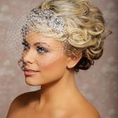 Margot - rhinestone applique birdcage veil