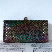 Party sequin clutch