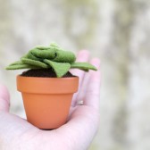 Moss Felt Succulent Plant