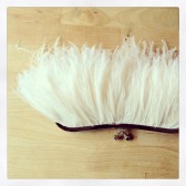 Ostrich Feather Clutch in Ivory