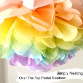 Pastel Rainbow Pom