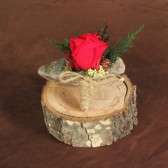 red rose holiday boutonniere