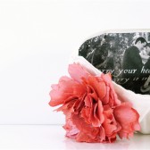 petit ruche photo clutch