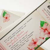 Tropical Hibiscus Boarding Pass