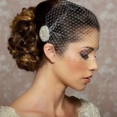 Valentina - Rhinestone trimmed birdcage veil