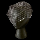 Angled Birdcage Veil