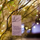 Wishing Tree Tags and Sign