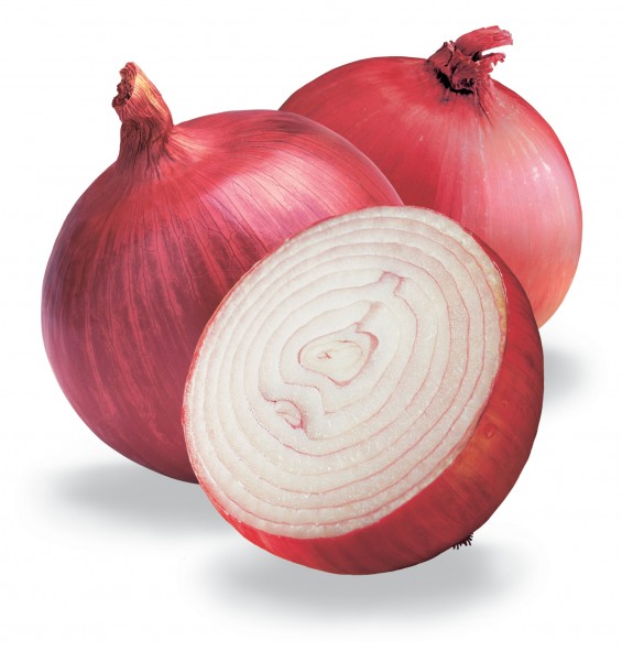 handmade wedding red onions e1301587312526 Newlywed Notes: How To Stock Your Pantry