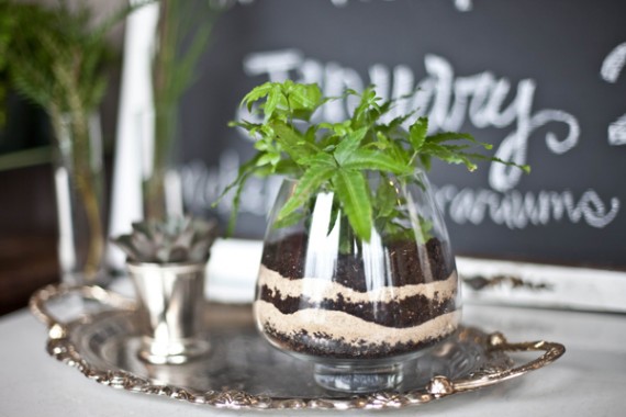 terrariums for weddings