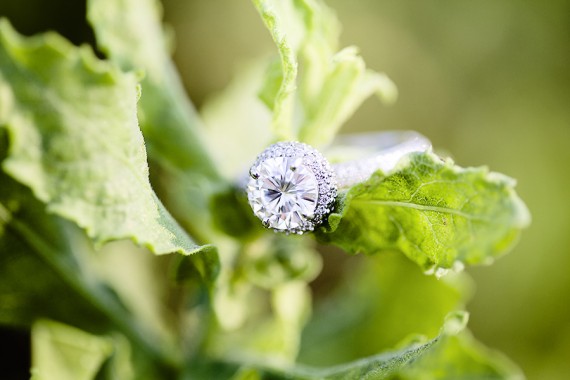 proposal
